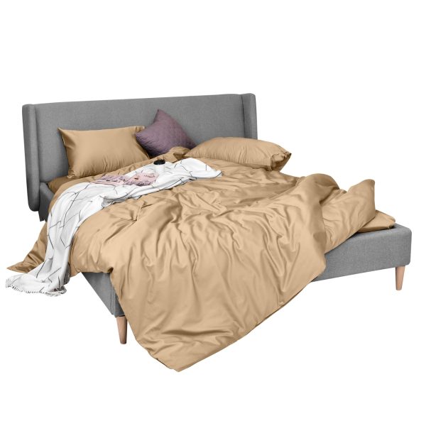 Lenjerie pat SATIN + Cearsaf bej (1)